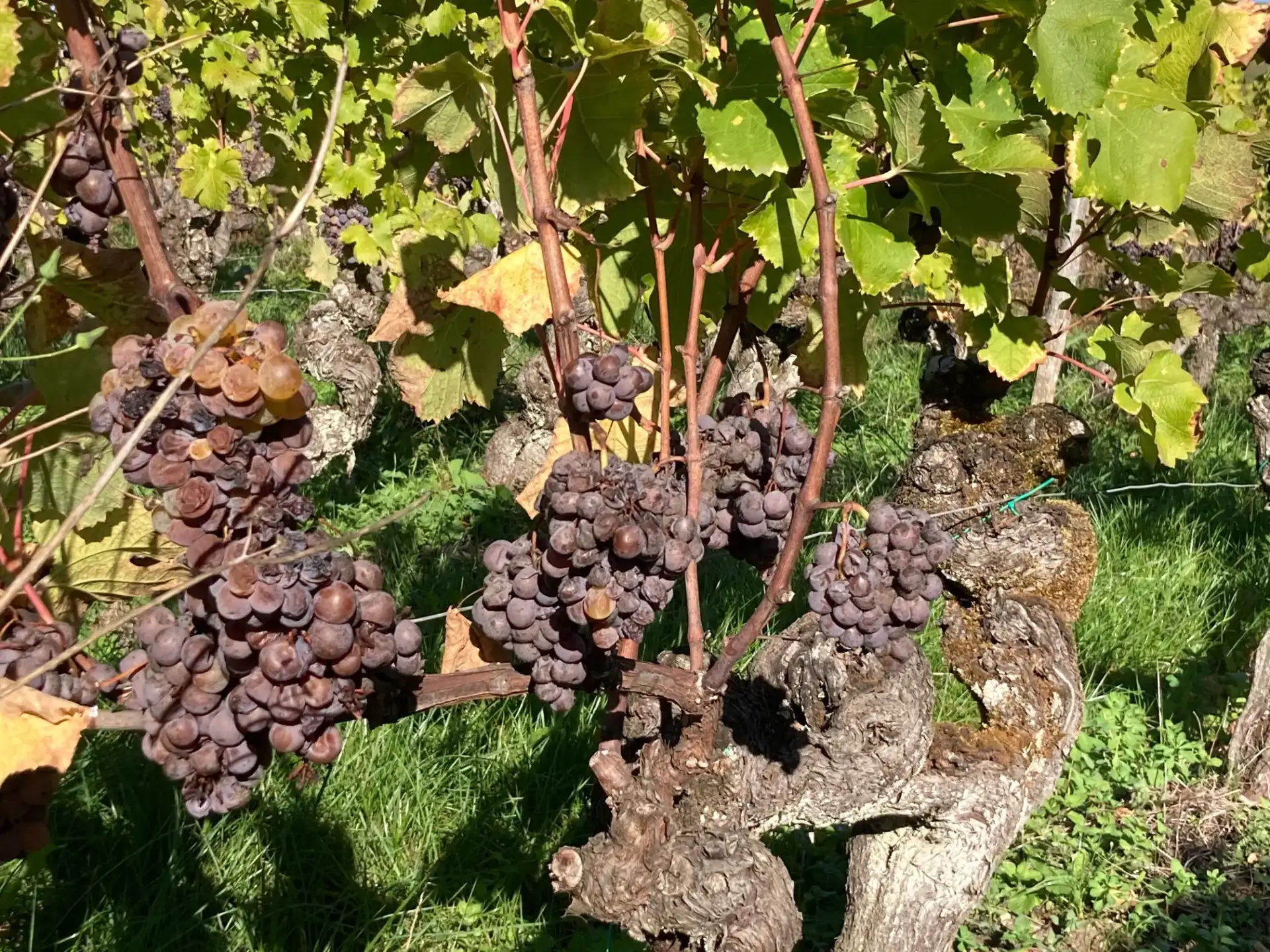 8e0a0f40-8906-4354-b1a7-cd7afb5dbdf6